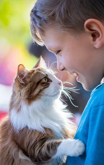 garçon avec son chat à qui il vient de donner des croquettes